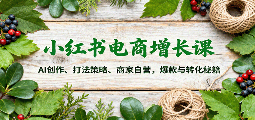 小红书电商增长课：AI创作、打法策略、商家自营，爆款与转化秘籍-168网创