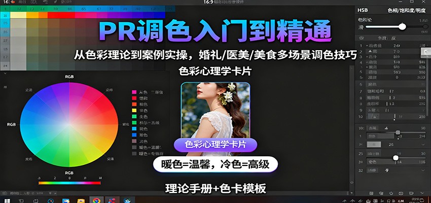 PR调色入门到精通：从色彩理论到案例实操，婚礼/医美/美食多场景调色技巧-168网创
