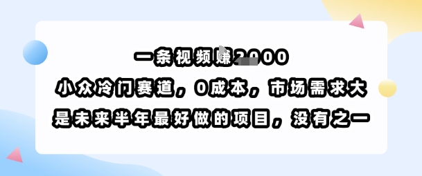 一条视频挣1k,小众冷门赛道,0成本,市场需求大,是未来半年最好做的项目,没有之一-168网创
