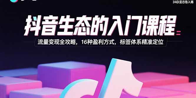 (15856期)抖音生态的入门课程:流量变现全攻略,16种盈利方式,标签体系精准定位-168网创