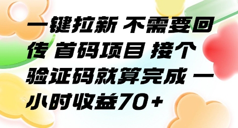 一键拉新 不需要回传 首码项目 接个验证码就算完成 一小时收益70+【揭秘】-168网创