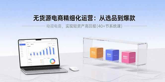 （15896期）无货源电商精细化运营：从选品到爆款，实现轻资产高回报(40+节系统课)-168网创
