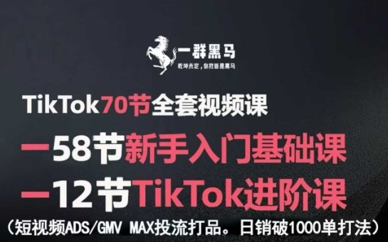 TikTok全套视频课，新手入门+进阶课，短视频ADS-GMV MAX投流打品，日销破1000单打法-168网创