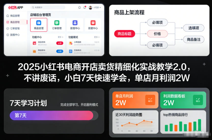 2025小红书电商开店卖货精细化实战教学2.0，不讲废话，小白7天快速学会，单店月利润2W-168网创