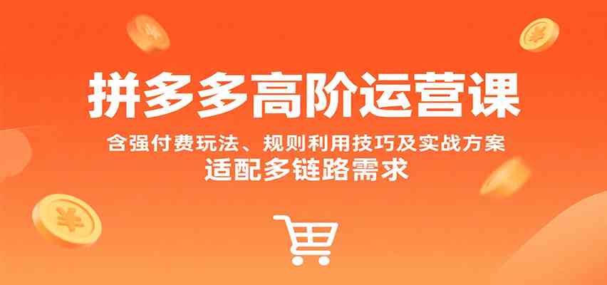拼多多高阶运营课,含强付费玩法、规则利用技巧及实战方案,适配多链路需求-168网创