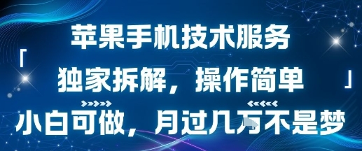 苹果手机技术服务,独家拆解,操作简单,小白可做,月过1W不是梦-168网创