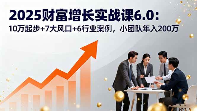 (16004期)2025财富增长实战课6.0:10万起步+7大风口+6行业案例,小团队年入200万-168网创