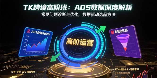 (15809期)TK跨境高阶班:ADS数据深度解析,常见问题诊断与优化,数据驱动选品方法-168网创