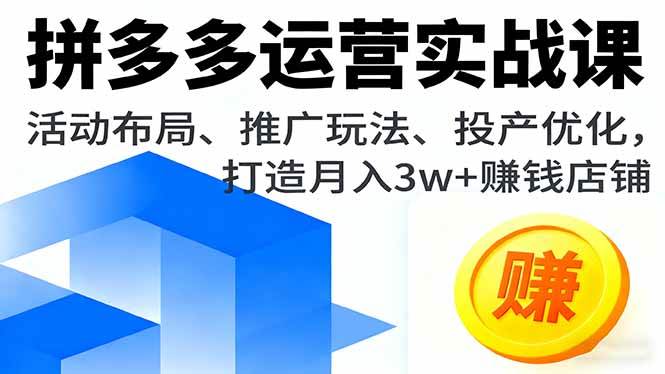 (16135期)拼多多运营实战课,活动布局、推广玩法、投产优化,打造月入3w+赚钱店铺-168网创