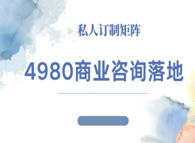 4980商业咨询师落地课程-ip运营高客单教程-168网创