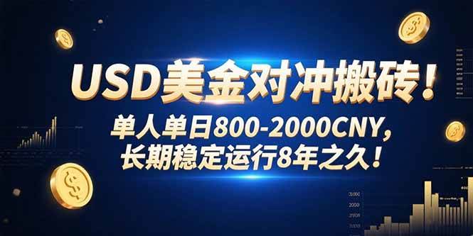 (15551期)USD美金对冲搬砖!单人单日800-2000CNY,长期稳定运行8年之久!-168网创