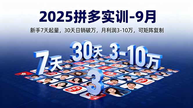 （16008期）2025拼多多实训-9月：新手7天起量,30天日销破万,月利润3-10万,可矩阵复制-168网创
