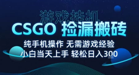 8月最新游戏搬砖,CSGO纯挂G,不需要玩游戏,实现真挂G,月入1W+【揭秘】-168网创