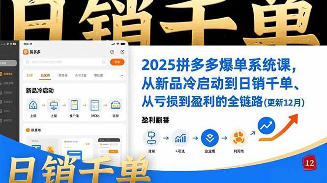 （16894期）2025拼多多爆单系统课，从新品冷启动到日销千单、从亏损到盈利的全链路（更新12月）-168网创