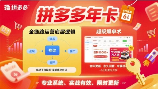 拼多多年卡【8月更新6节】拼多多全链路运营底层逻辑,超级爆单术-168网创