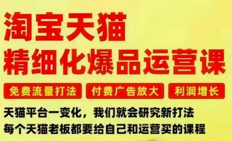 淘宝天猫精细化爆品运营课,免费流量打法-付费广告放大-利润增长-三大核心痛点,一次全部解决-168网创