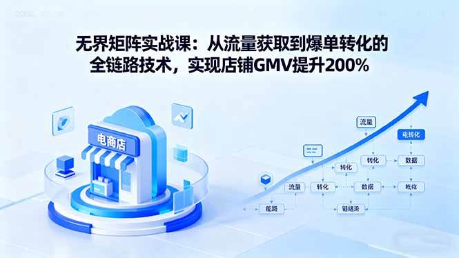 （16104期）无界矩阵实战课：从流量获取到爆单转化的全链路技术，实现店铺GMV提升200%-168网创