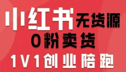 小红书无货源0粉电商课,开店准备、选品策略、笔记撰写、视频剪辑、数据分析、账号打造、资料文档-168网创