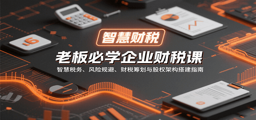 老板必学企业财税课：智慧税务、风险规避、财税筹划与股权架构搭建指南-168网创