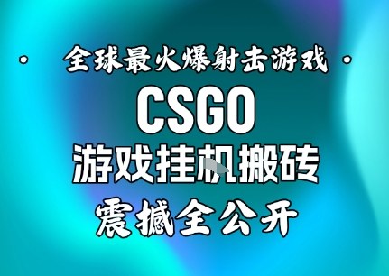 【年底大揭秘】基于全球最火爆的射击CSGO游戏挂G搬砖,日入5张+,震撼公开-168网创