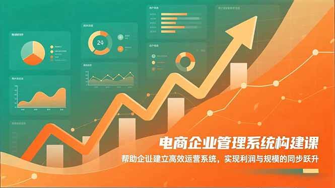 (16643期)电商企业管理系统构建课:帮助企业建立高效运营系统,实现利润与规模的同步跃升 (16643期)电商企业管理系统构建课:帮助企业建立高效运营系统,实现利润与规模的同步跃升