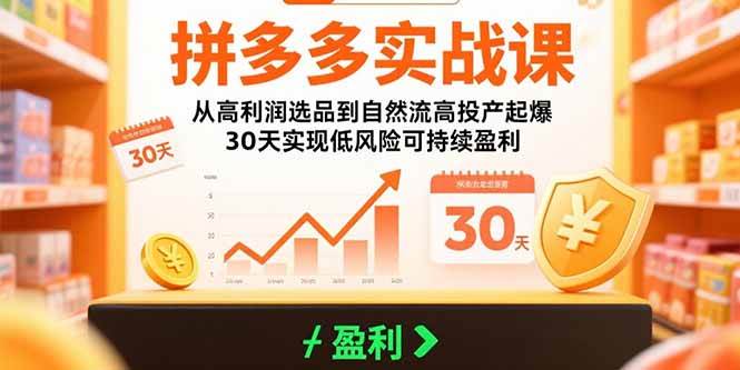 (15586期)拼多多实战课:从高利润选品到自然流高投产起爆 30天实现低风险可持续盈利-168网创