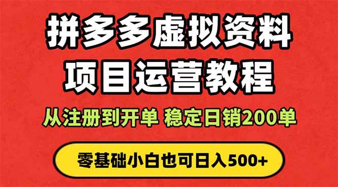 （16220期）拼多多开店运营课程： 蓝海变现玩法，轻松实现睡后收入 零基础小白也可…-168网创