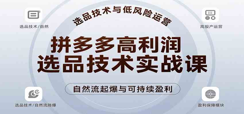拼多多高利润选品技术实战课,手把手教学自然流高投产起爆,实现低风险可持续盈利-168网创