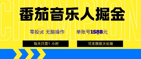 番茄音乐人掘金，单账号最高可撸1k+，可无限矩阵去做，零投入-168网创