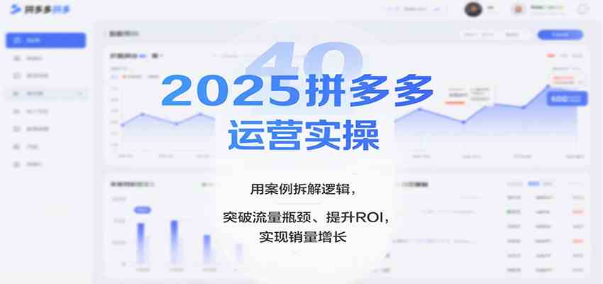 2025拼多多运营实操,用案例拆解逻辑,突破流量瓶颈、提升ROI,实现销量增长-168网创