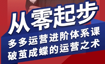 拼多多运营进阶系统课,从零起步,多多运营进阶体系课,破茧成蝶的运营之术-168网创