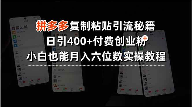 （15613期）拼多多复制粘贴引流秘籍，日引400+付费创业粉，小白也能月入六位数实操…-168网创