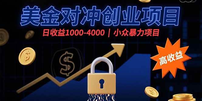 (15642期)美金对冲创业项目,日收益1000-4000,小众暴力项目-168网创