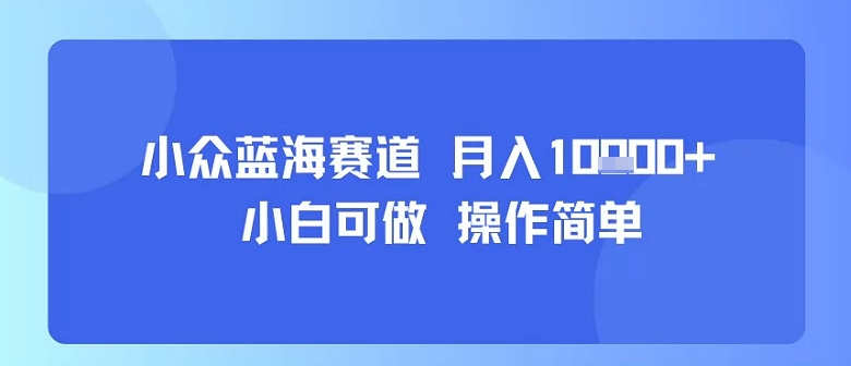 小众蓝海赛道,小白可做,操作简单,每天30分钟,月入1W+-168网创