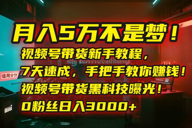 （15595期）月入5万不是梦！视频号带货新手教程，7天速成，手把手教你赚钱！视频号…-168网创