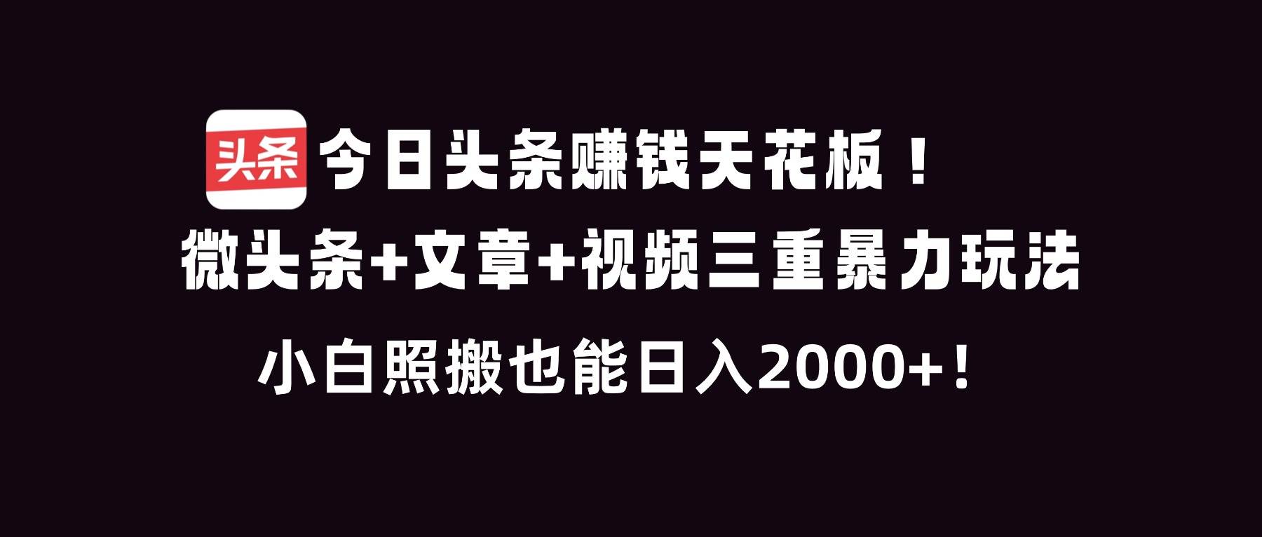 （16888期）今日头条赚钱天花板！微头条+文章+视频三重暴利玩法，小白照搬也能日人2000+-168网创