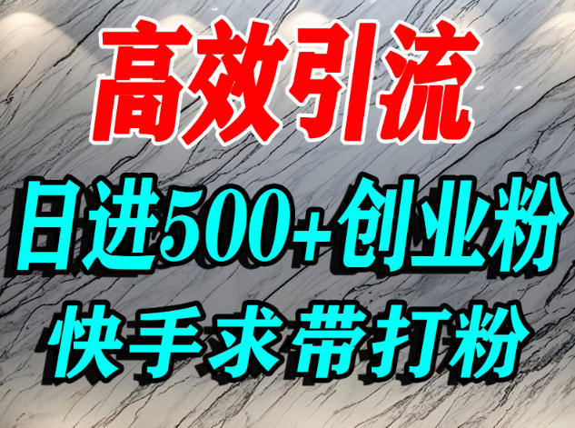 怎么打创业粉?快手求带视角精准引流创业粉,宝妈、学生群体日进500+精准流量-168网创