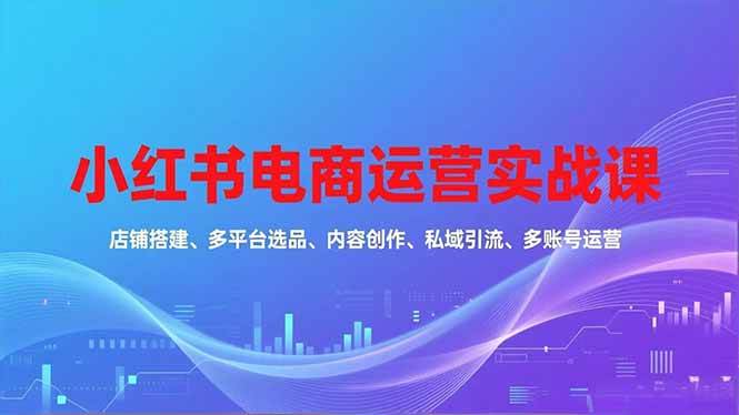 (16695期)小红书电商运营实战课,店铺搭建、多平台选品、内容创作、私域引流、多账号运营等玩法-168网创