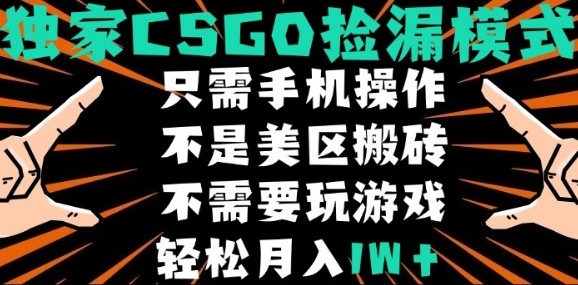 CSGO自动捡漏项目，最新独家玩法，不是美区搬砖，不需要了解和玩游戏，新手小白轻松月入1W+【揭秘】-168网创